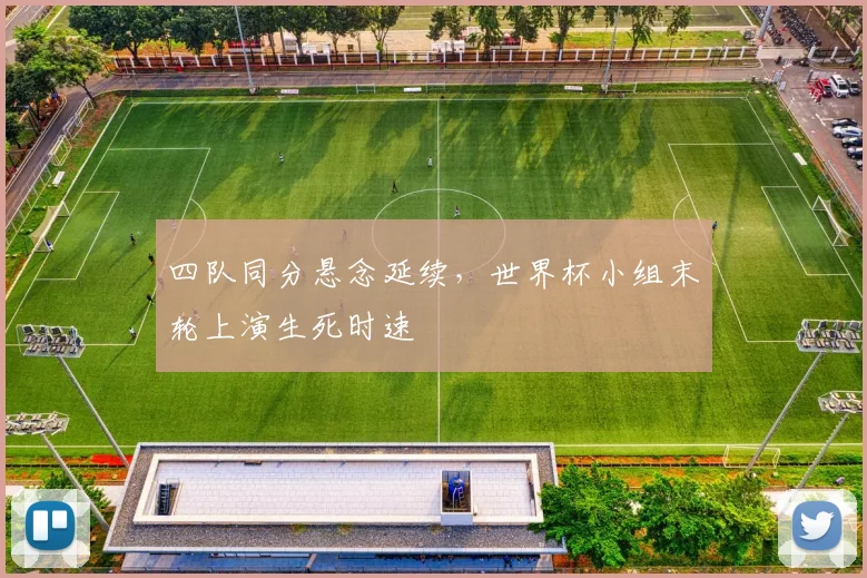 四队同分悬念延续，世界杯小组末轮上演生死时速