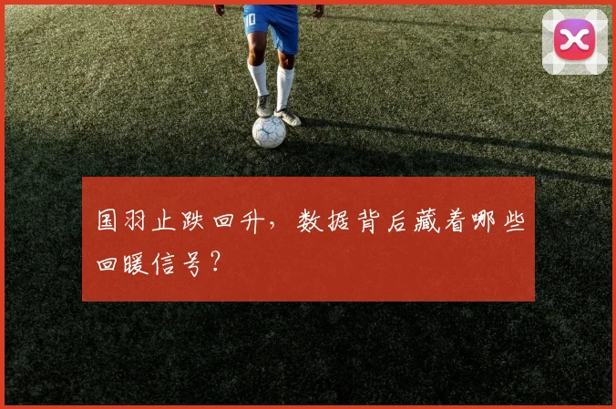 国羽止跌回升，数据背后藏着哪些回暖信号？