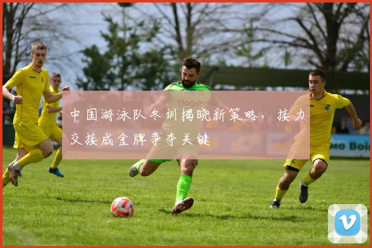 中国游泳队冬训揭晓新策略，接力交接成金牌争夺关键